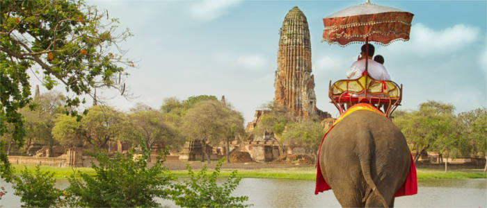 Through Thailand on the back of an elephant