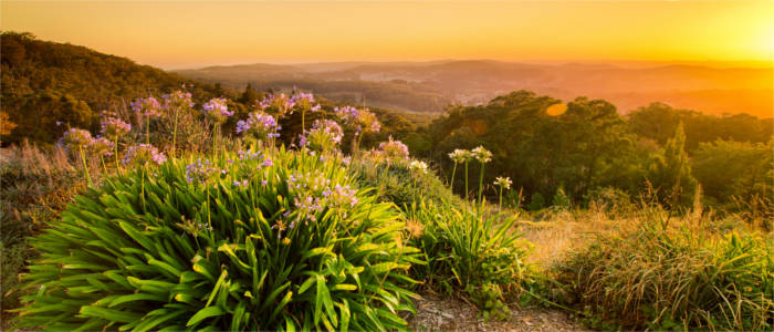 Nature in the Barossa Valley