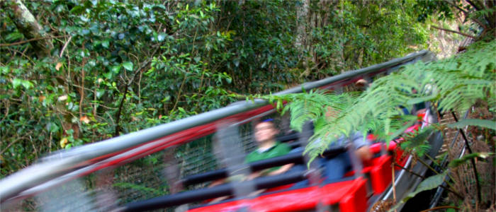 Mountain railway in the Blue Mountains