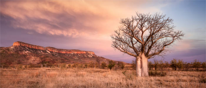 Natural sight in Kimberley