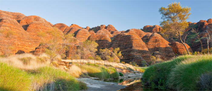 Bungle Bungle - rock formation in Kimberley
