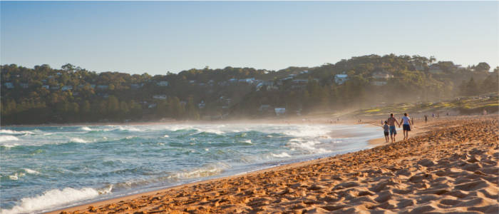 Sandy beach in New South Wales