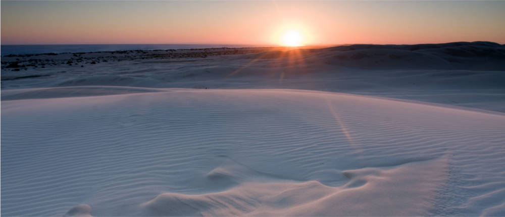 Sand dunes in New South Wales