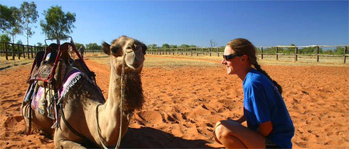 A camel ride in the Northern Territory