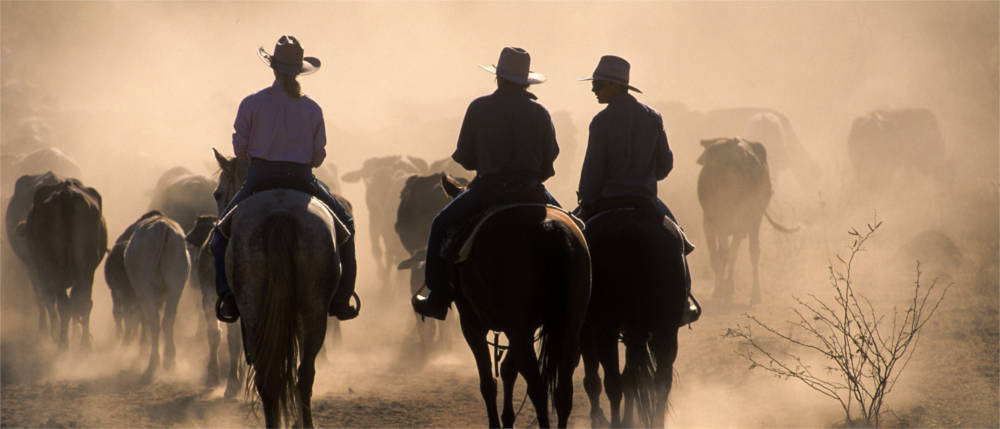 Australian cowboys 