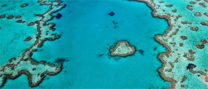 Famous reef in Queensland