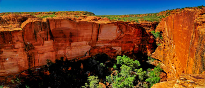 Rock formation in the Red Centre