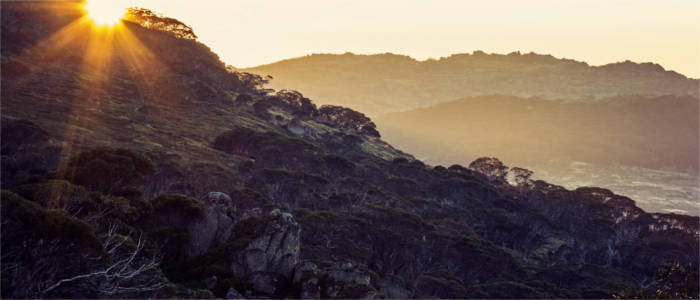 Nature in the Snowy Mountains