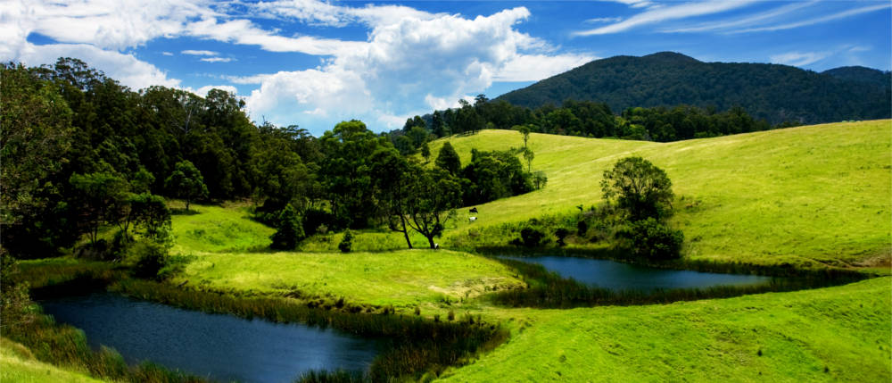 Hinterland at the south coast of New South Wales