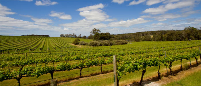 Wine-growing region in South-Western Australia