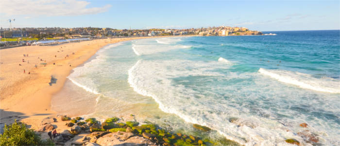Beach in Sydney