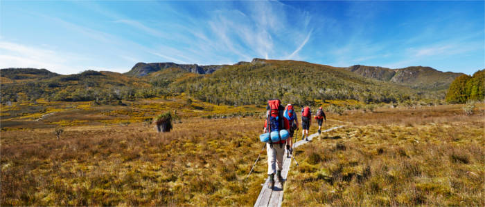 Hikers in Tasmania