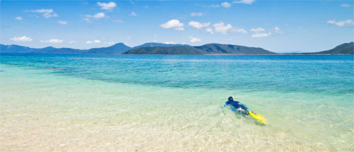 Diver in Tropical North Queensland