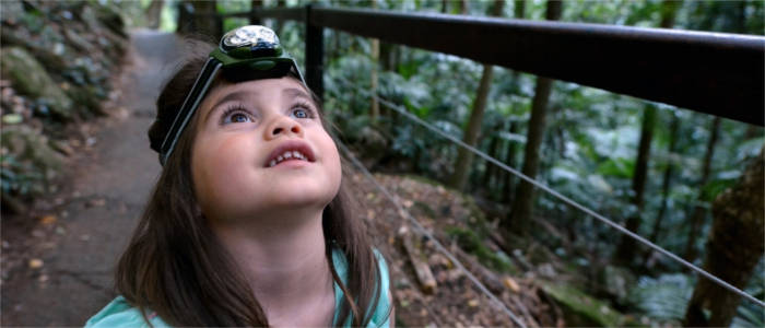 Trip into Australia's rainforest