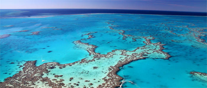 Tropical World Natural Heritage in Queensland
