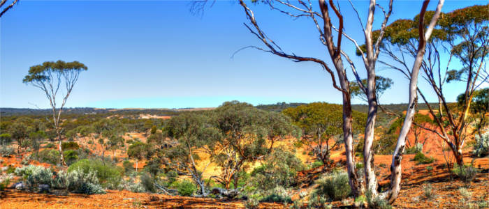 Natural surroundings in Western Australia