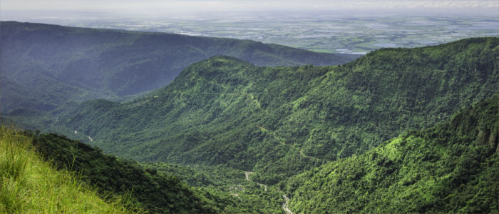 Landscape in Bangladesh