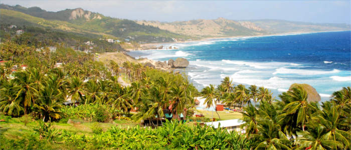 Surf beach Bathsheba on Barbados