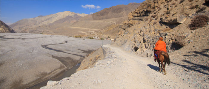 Trekking tours on horseback in the mountains in Bhutan