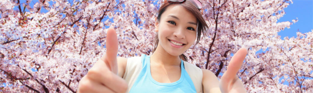 Travel destination Japan