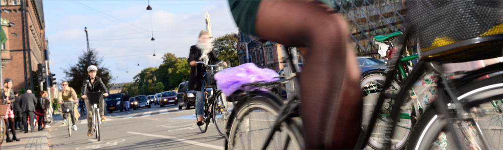 Exploring Denmark by bike