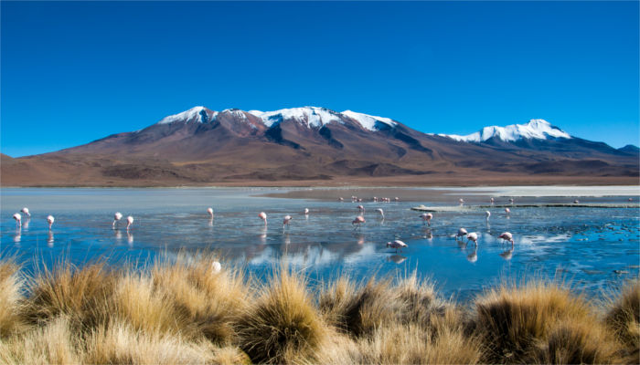Landscape in Bolivia