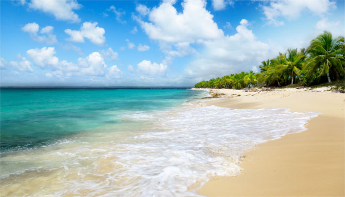 Beach in the Dom. Rep.