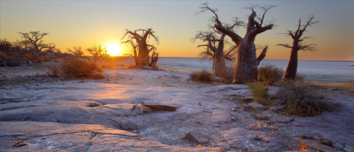 Great salt pan in Botswana