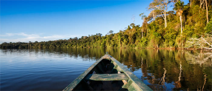 Nature at the Amazon River