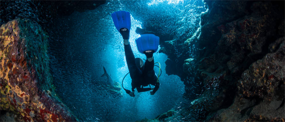 A diver on the Cayman Islands
