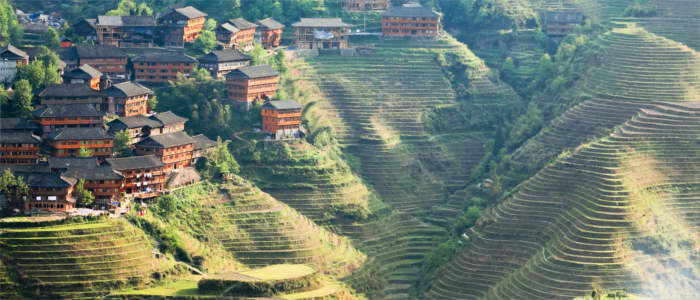 Longsheng Rice Terrace