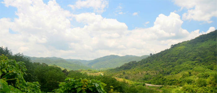Tropical rainforest on Hainan