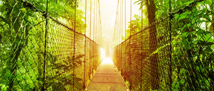 The jungle bridges in Costa Rica