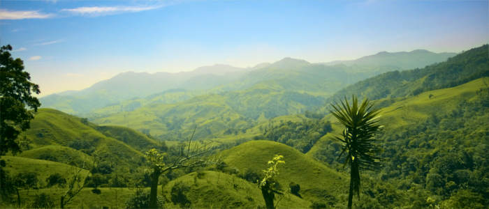 Green hills in Costa Rica