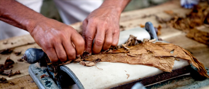 Cuba tobacco growing and cigar production