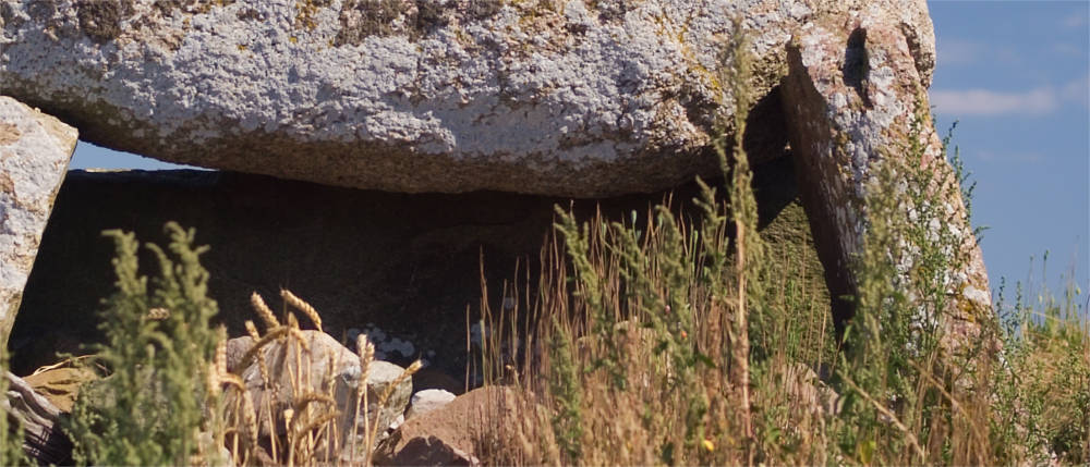 Burial site on Falster
