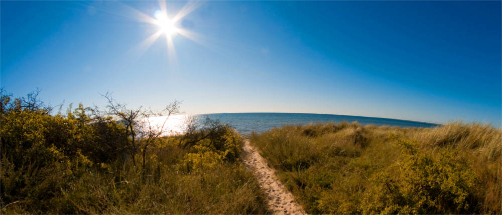 Path on a sand dune on Falster