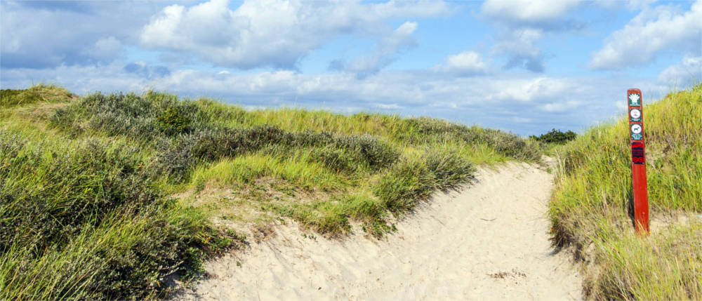 Nature on Fanø