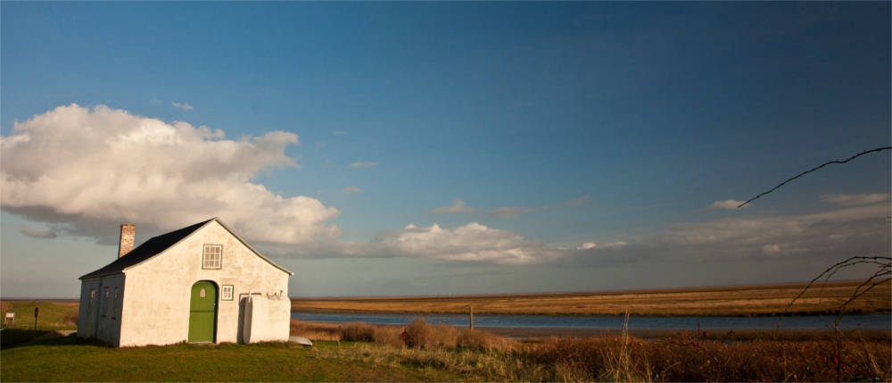 Natural landscape on Fanø