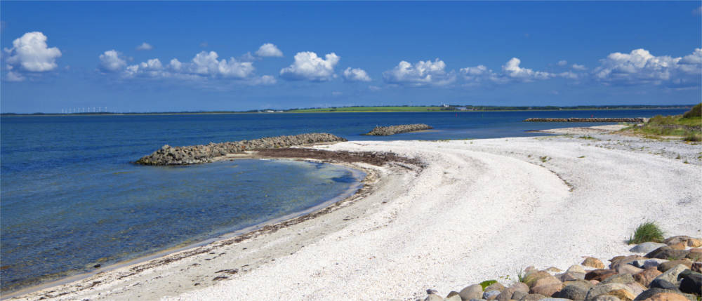 Nature at the Limfjord