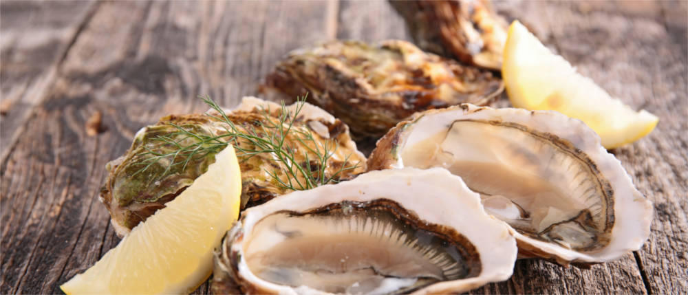 Seafood at the Limfjord