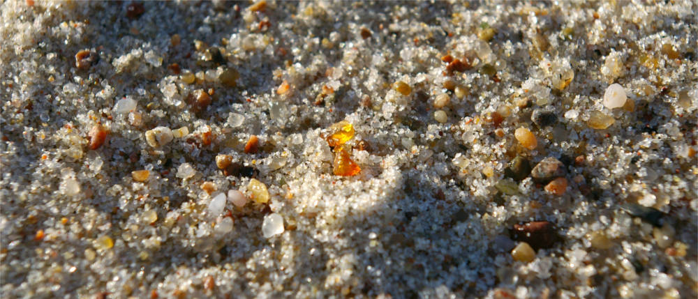 Amber at the beach on Rømø