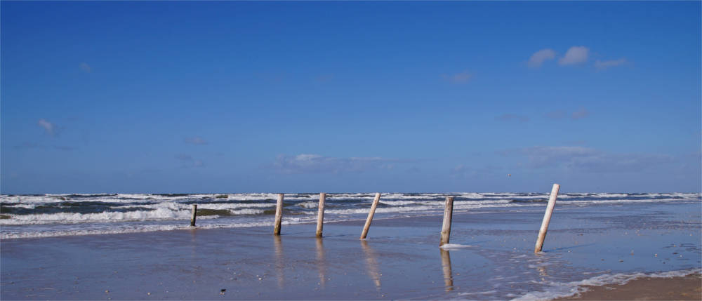 Beach landscape on Rømø