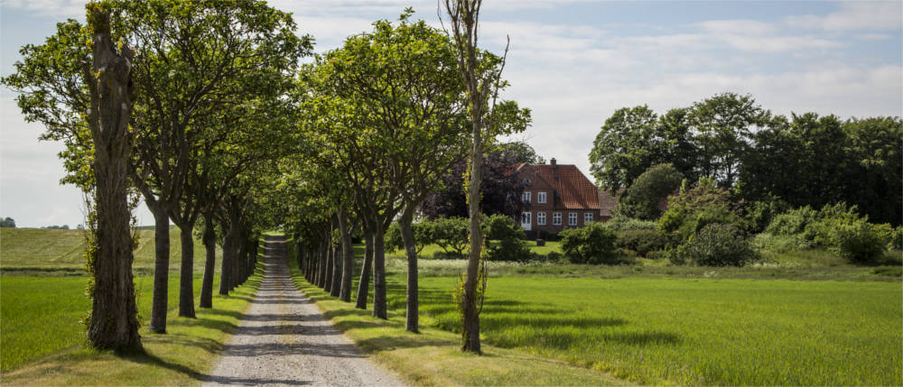 Landscape on Samsø
