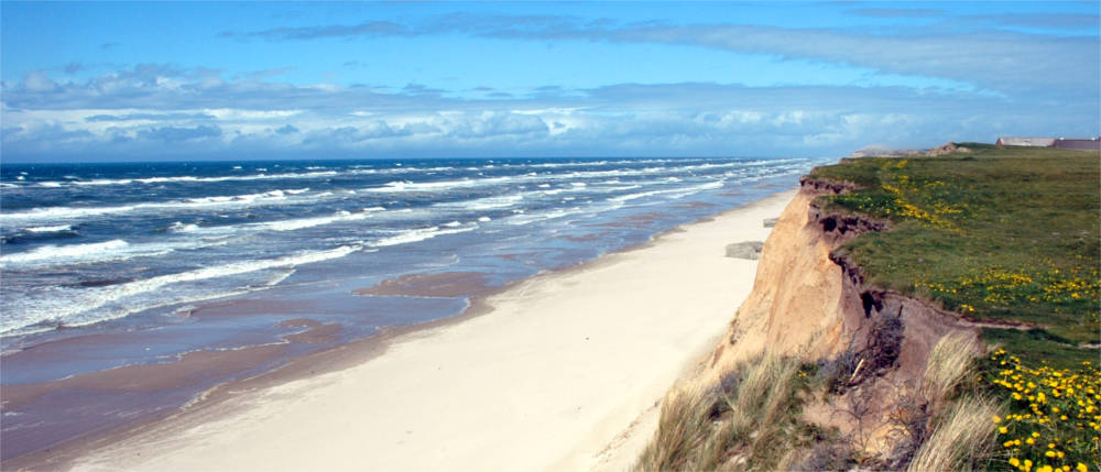 Beach at Denmark's west coast