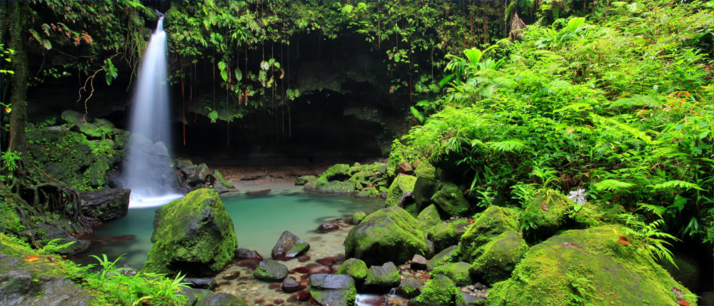 Dominica's Emerald Pool