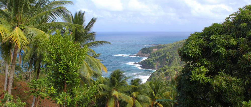 The Caribbean tropical island of Dominica