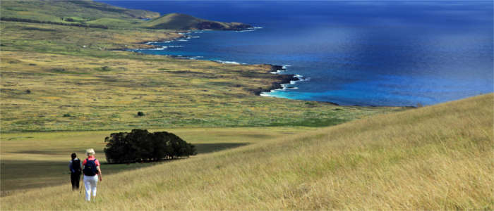 Hiking along the coast on Easter Island