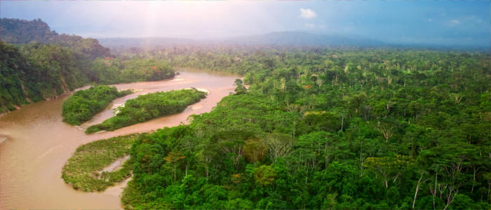 The river landscape in Ecuador