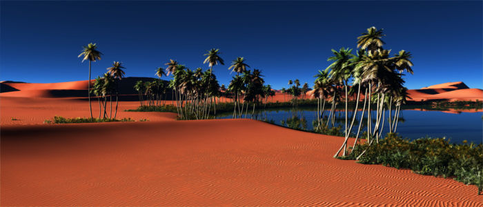 Oasis in the Egyptian desert